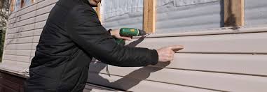 Best Vinyl Siding Installation  in Lake Mills, IA